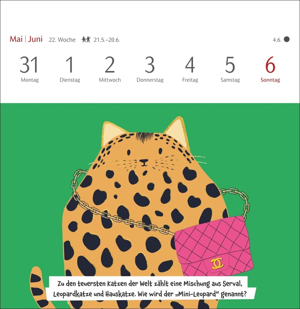 Weitere Ansicht: Unnützes-Wissen-Quiz Katzen Premium-Postkartenkalender 2027 - Kalender mit 53 Rätselkarten | Stefan Heine
