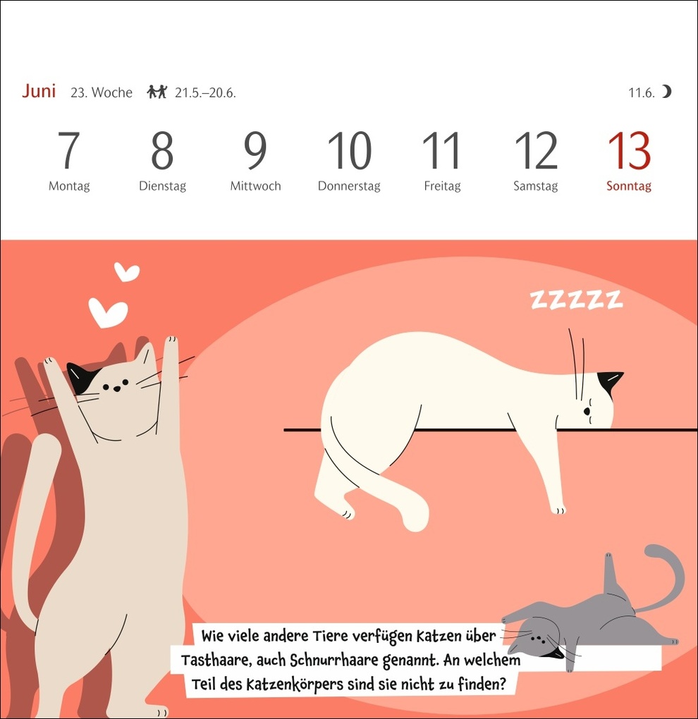 Weitere Ansicht: Unnützes-Wissen-Quiz Katzen Premium-Postkartenkalender 2027 - Kalender mit 53 Rätselkarten | Stefan Heine