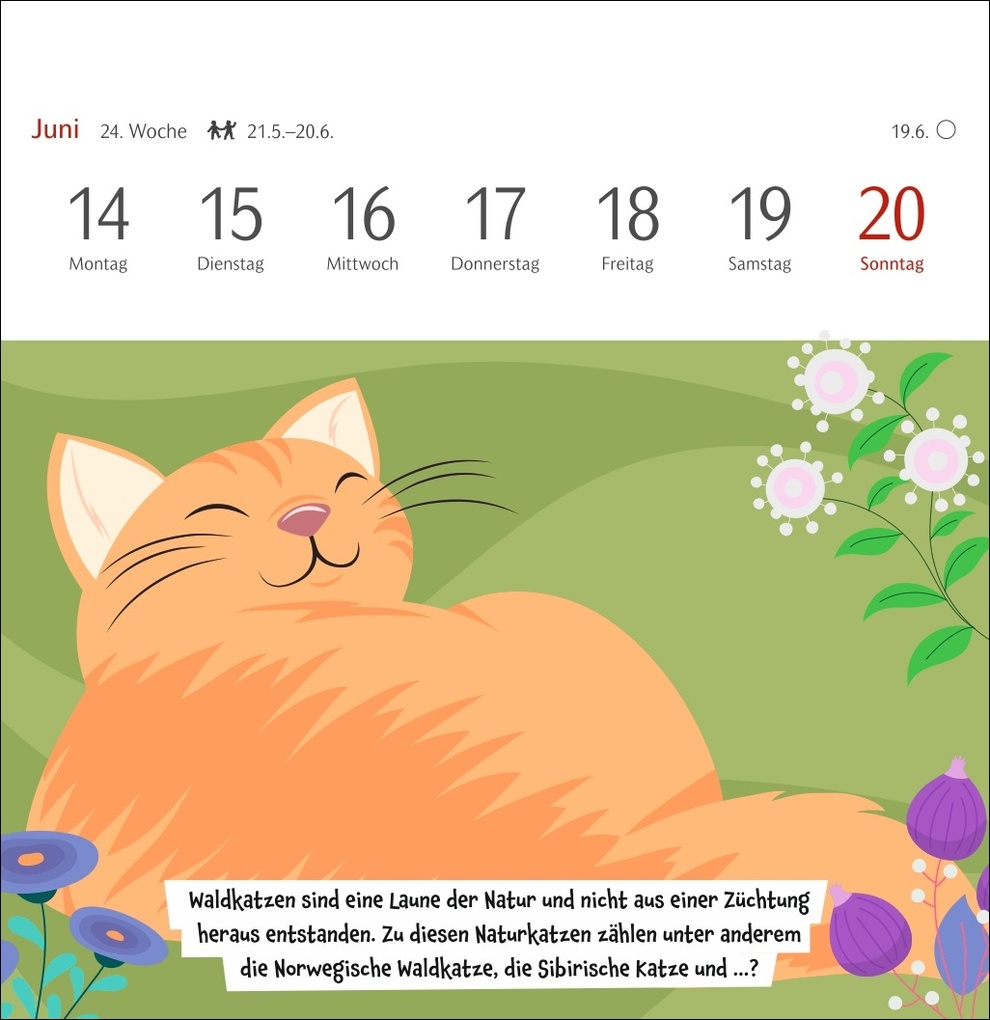 Weitere Ansicht: Unnützes-Wissen-Quiz Katzen Premium-Postkartenkalender 2027 - Kalender mit 53 Rätselkarten | Stefan Heine