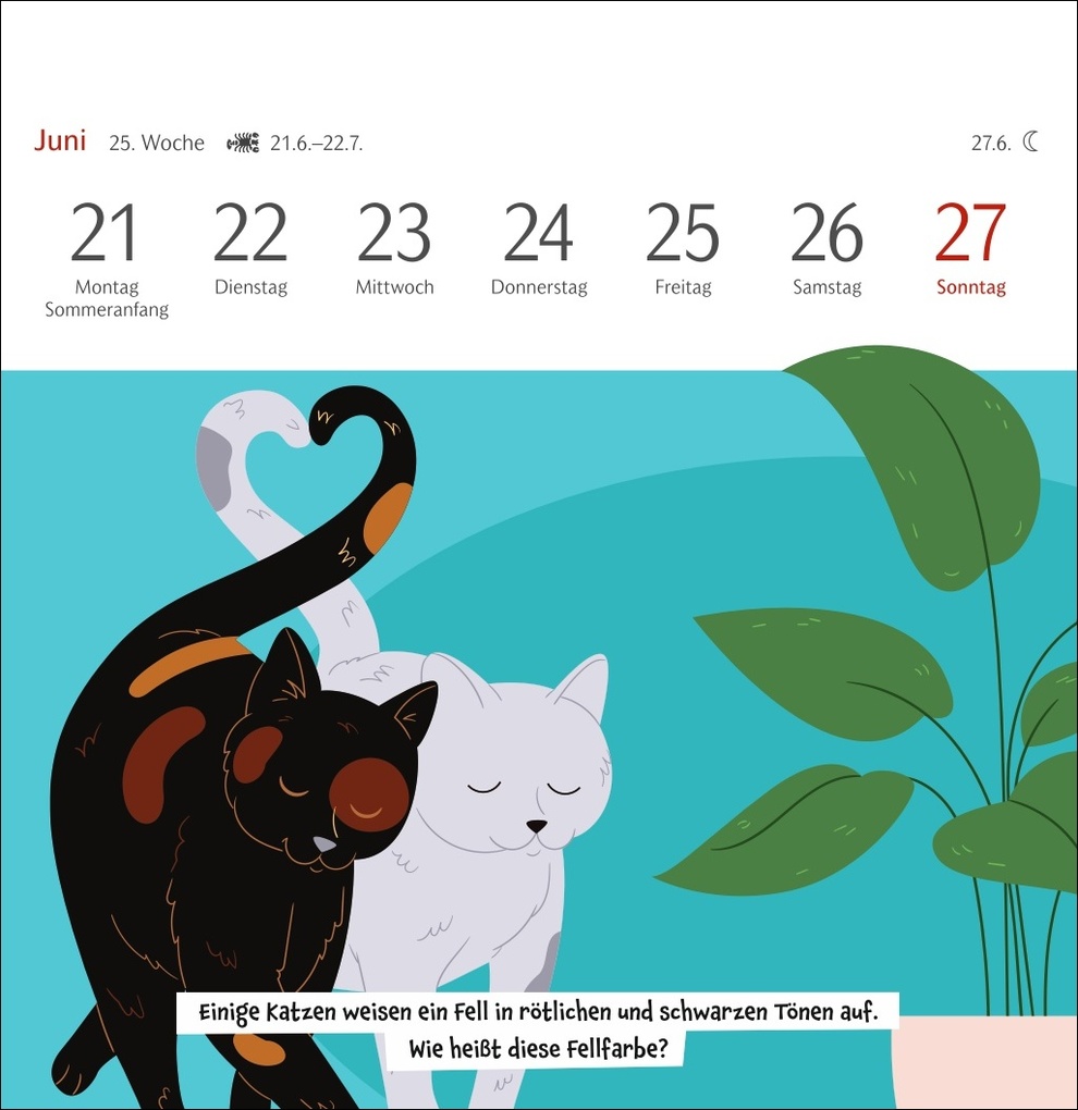 Weitere Ansicht: Unnützes-Wissen-Quiz Katzen Premium-Postkartenkalender 2027 - Kalender mit 53 Rätselkarten | Stefan Heine