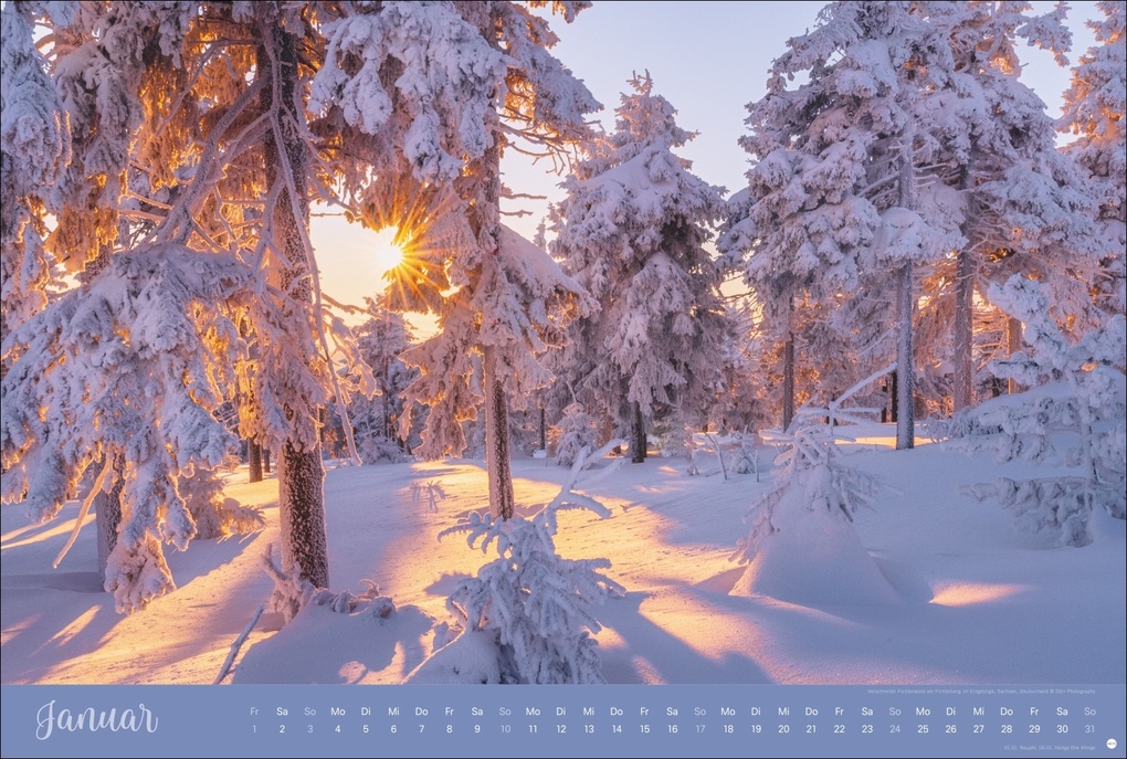 Weitere Ansicht: Zauberwälder Edition Kalender 2027