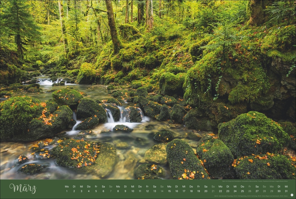 Weitere Ansicht: Zauberwälder Edition Kalender 2027