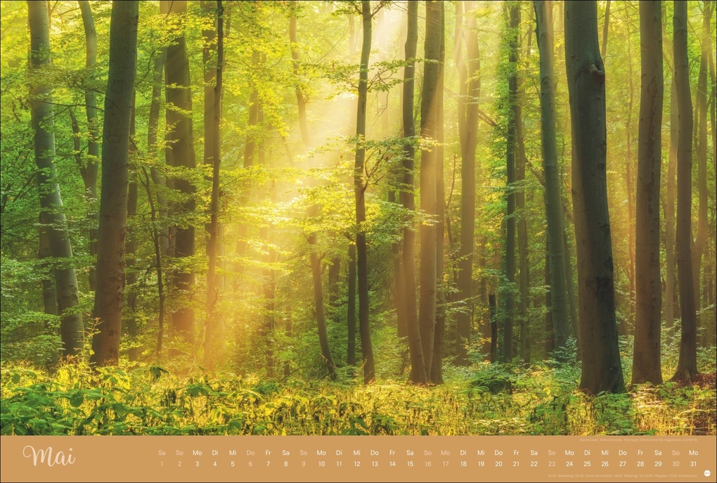 Weitere Ansicht: Zauberwälder Edition Kalender 2027