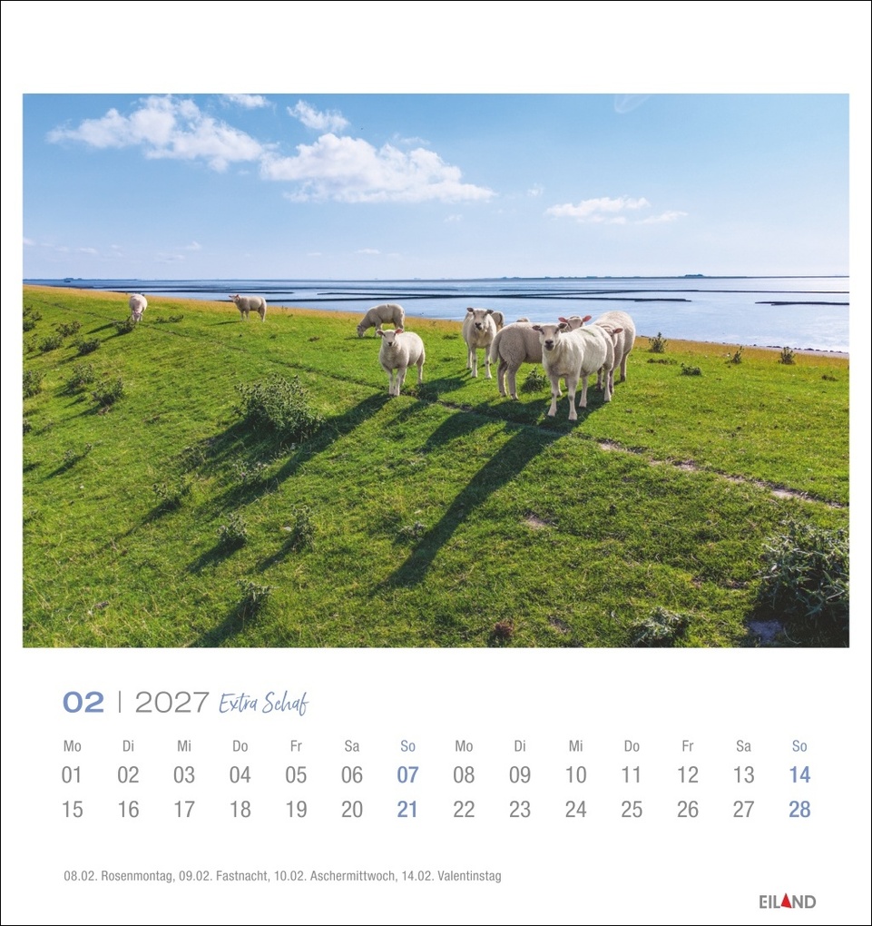 Weitere Ansicht: Extra Schaf Postkartenkalender 2027