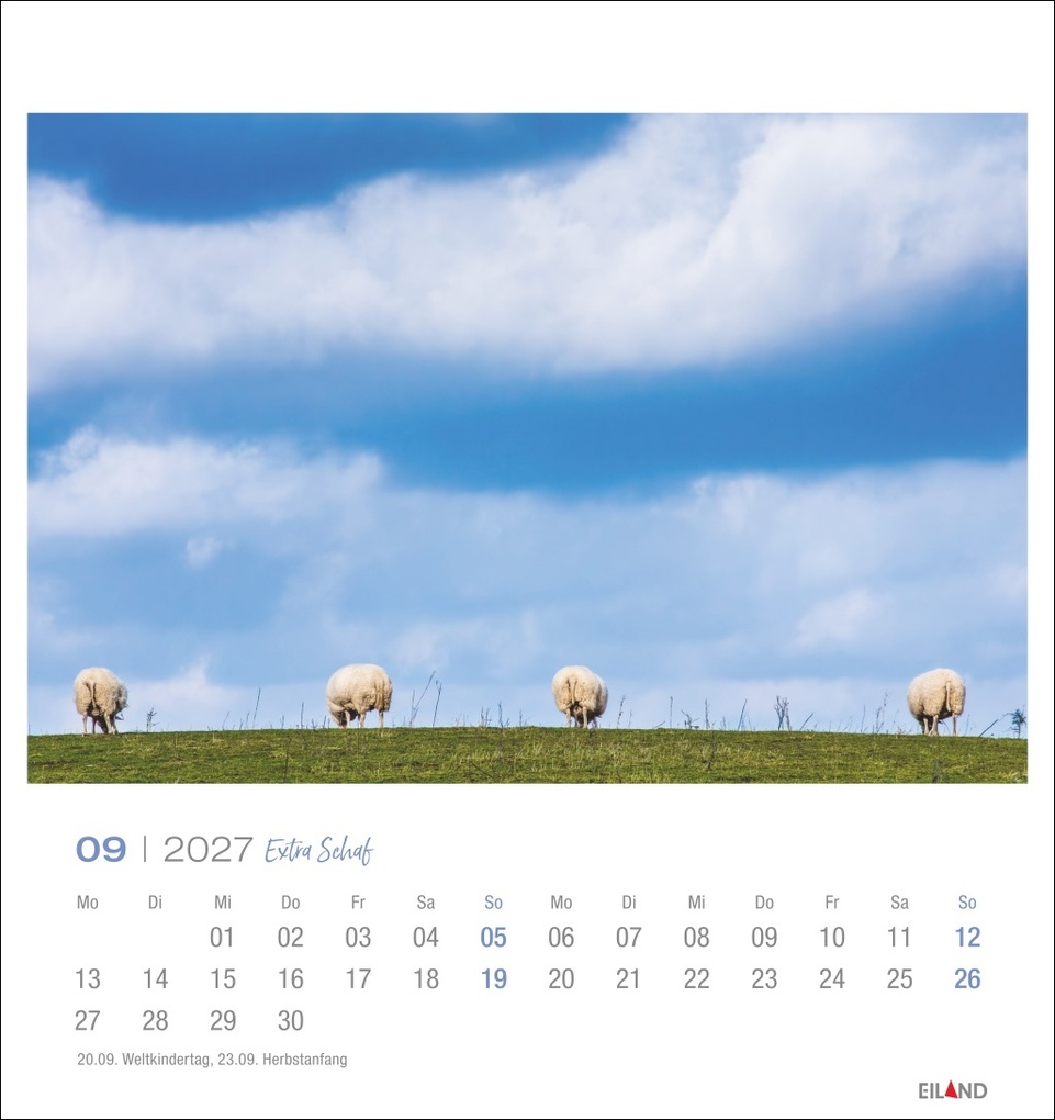 Weitere Ansicht: Extra Schaf Postkartenkalender 2027