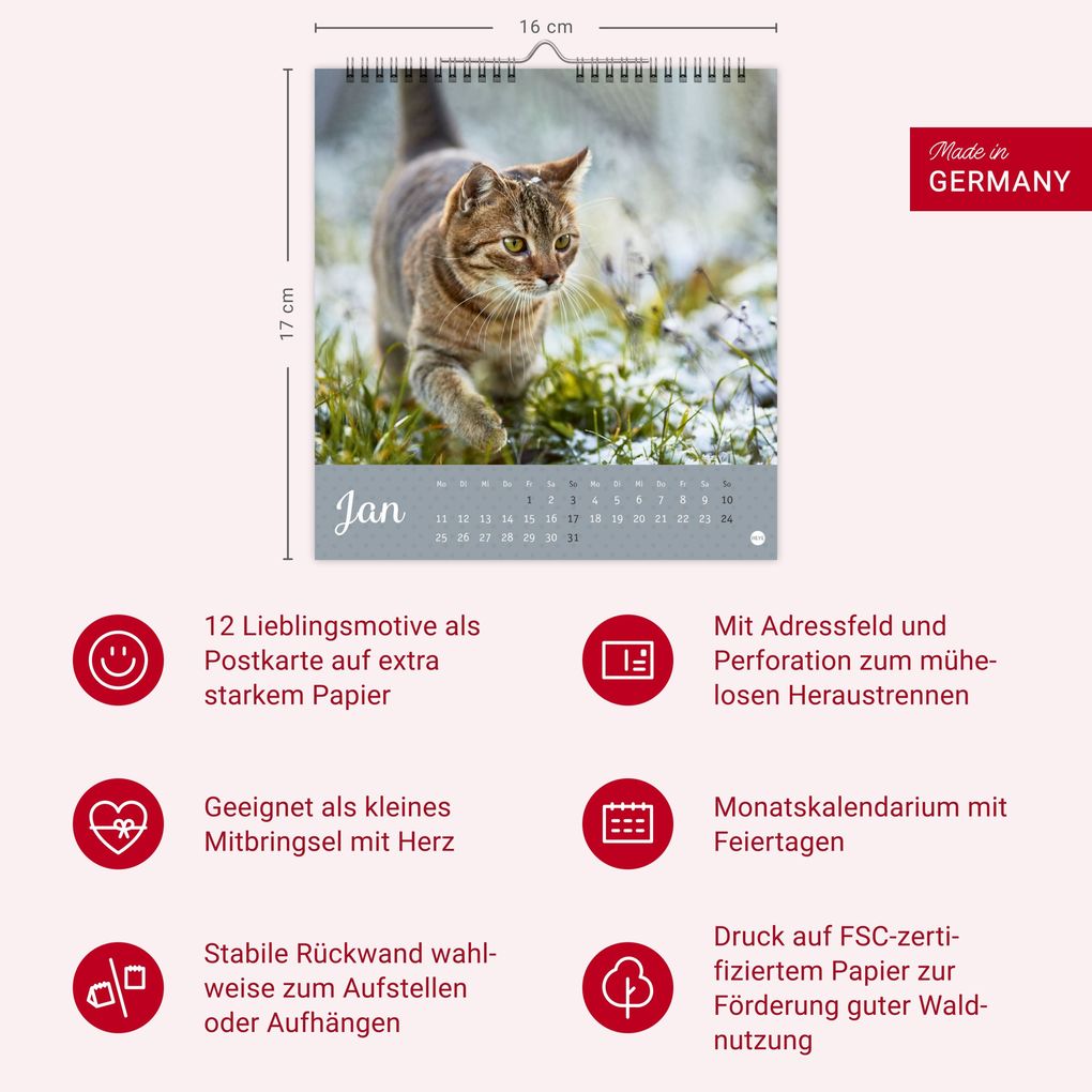 Weitere Ansicht: Katzen Postkartenkalender Kleine Tiger 2027