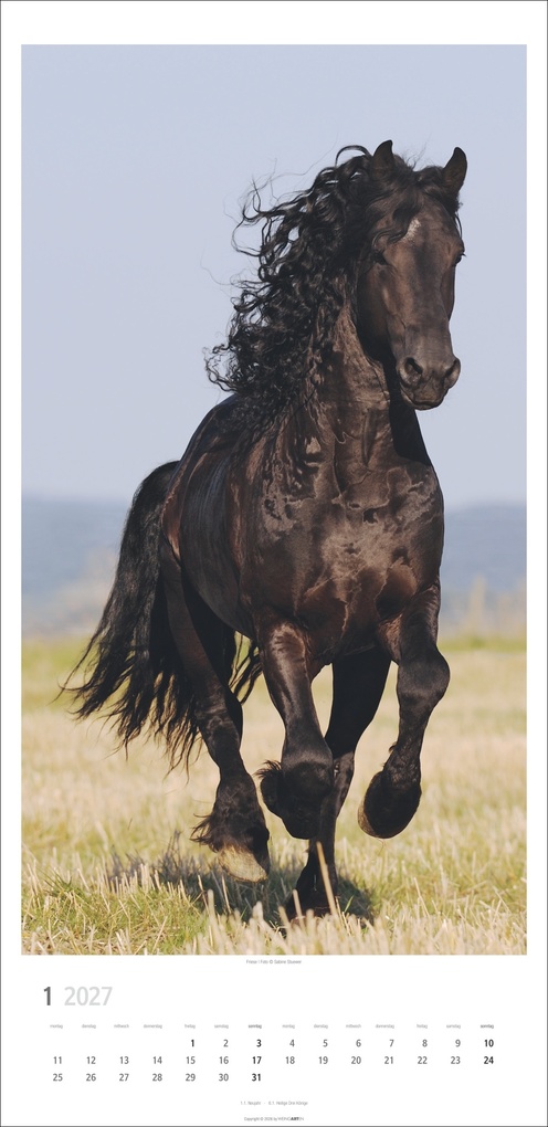 Weitere Ansicht: Pferde Kalender 2027