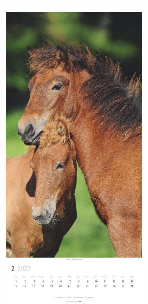 Weitere Ansicht: Pferde Kalender 2027