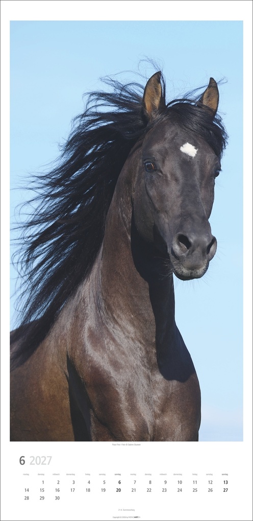 Weitere Ansicht: Pferde Kalender 2027