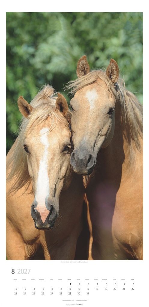 Weitere Ansicht: Pferde Kalender 2027