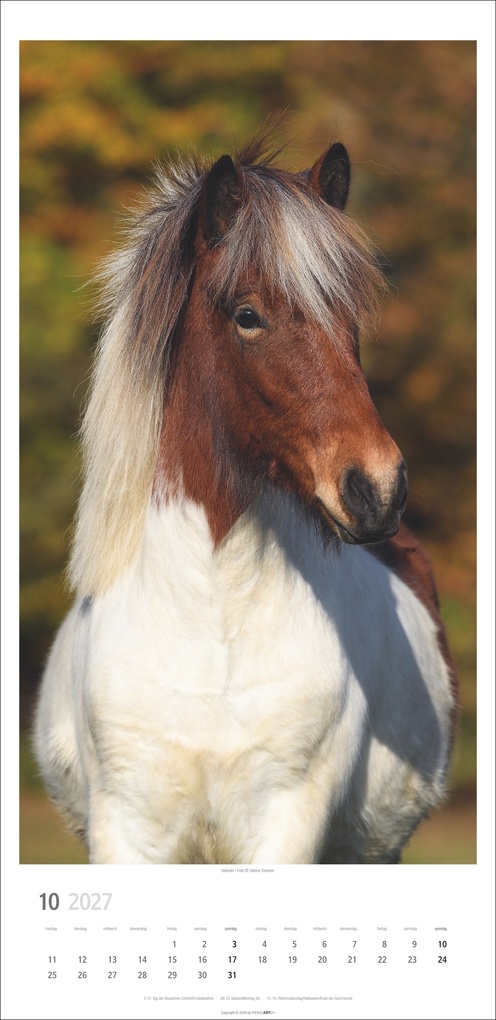 Weitere Ansicht: Pferde Kalender 2027