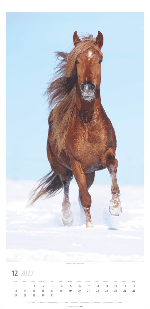 Weitere Ansicht: Pferde Kalender 2027
