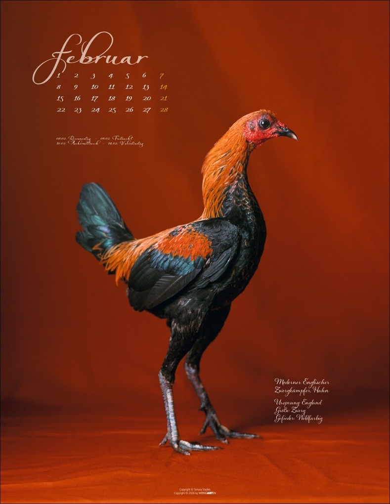 Weitere Ansicht: Pretty Chicks Kalender 2027