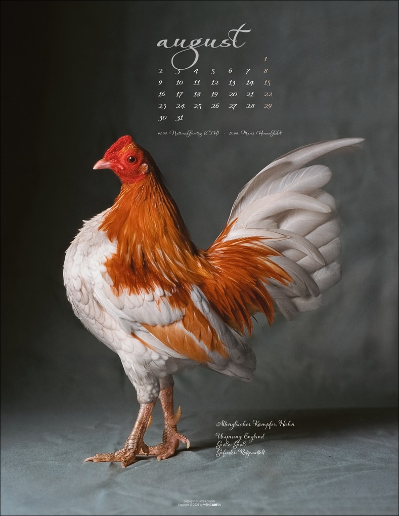 Weitere Ansicht: Pretty Chicks Kalender 2027
