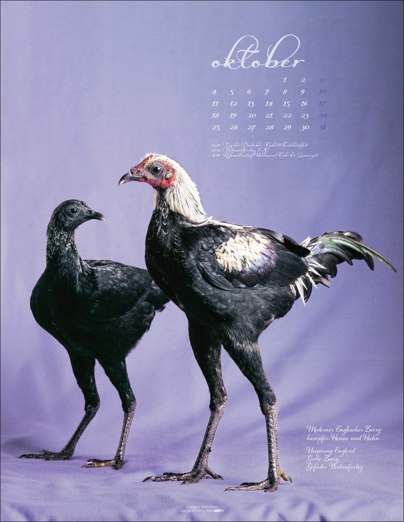 Weitere Ansicht: Pretty Chicks Kalender 2027