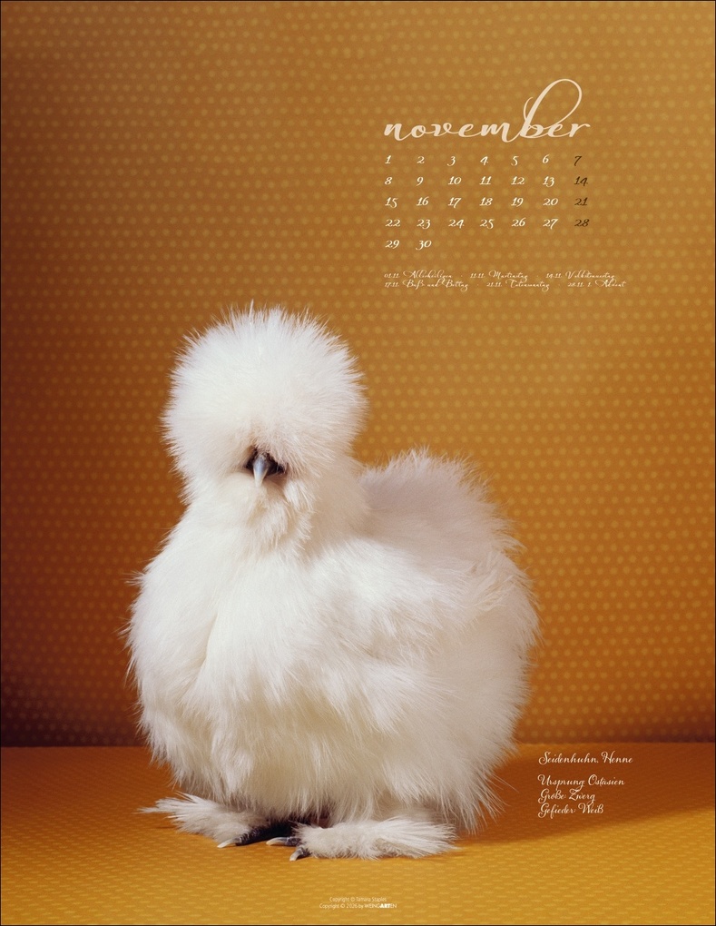 Weitere Ansicht: Pretty Chicks Kalender 2027