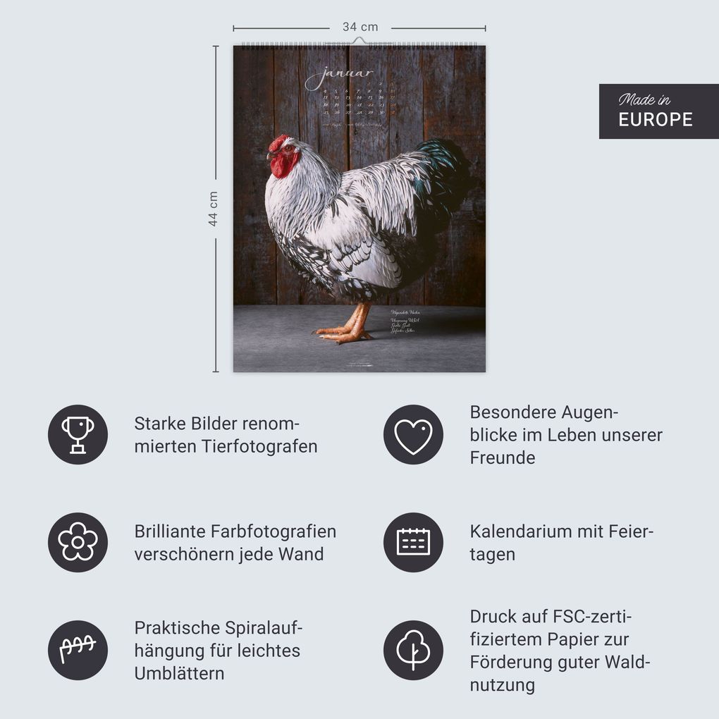 Weitere Ansicht: Pretty Chicks Kalender 2027