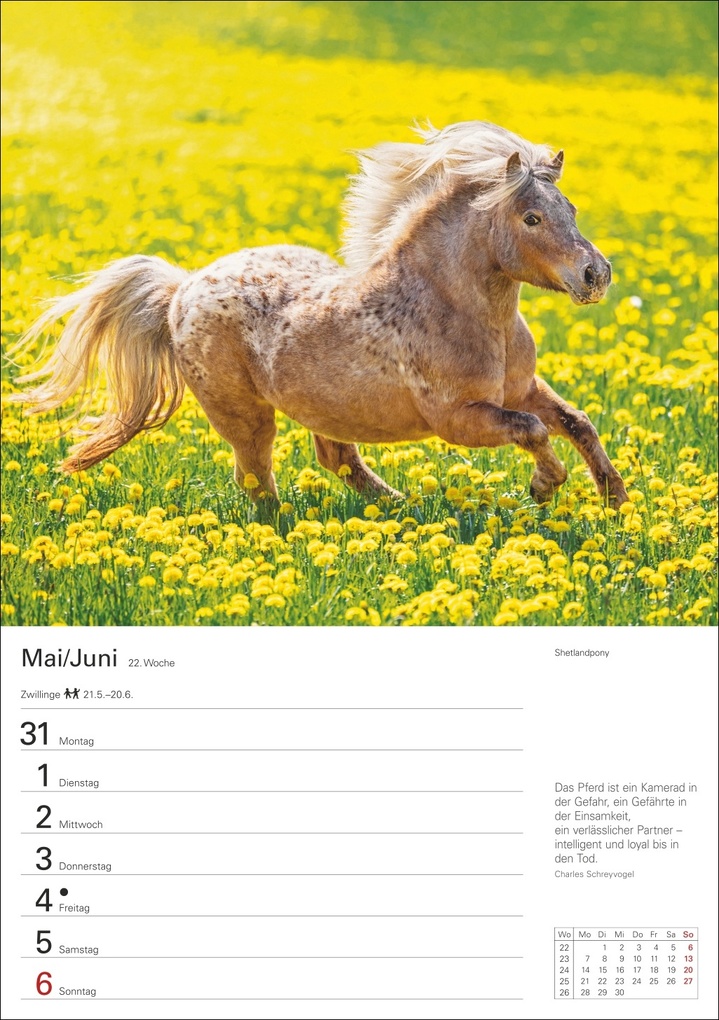 Weitere Ansicht: Pferde Wochenplaner 2027 - 53 faszinierende Fotografien