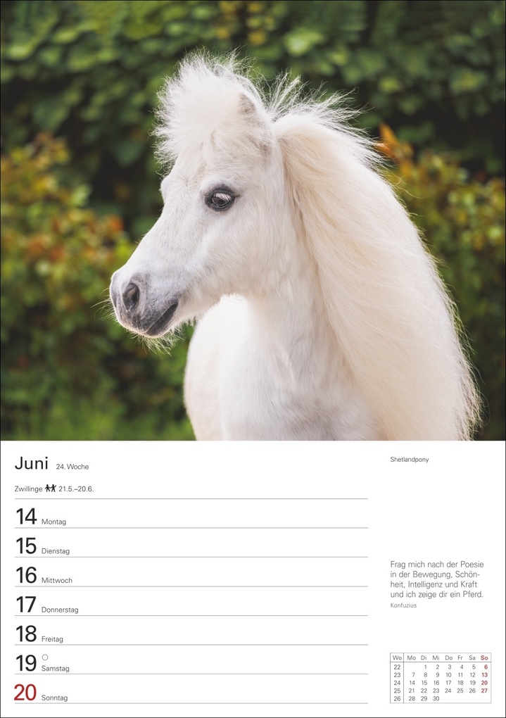 Weitere Ansicht: Pferde Wochenplaner 2027 - 53 faszinierende Fotografien