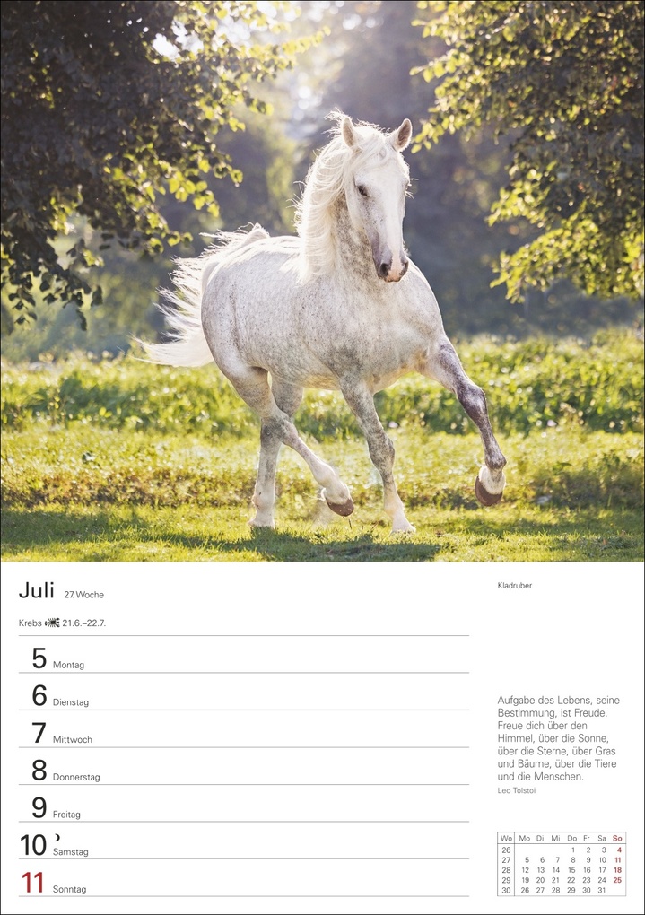 Weitere Ansicht: Pferde Wochenplaner 2027 - 53 faszinierende Fotografien