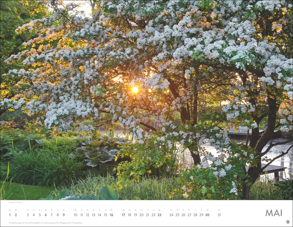 Weitere Ansicht: Gartenparadies Posterkalender 2027