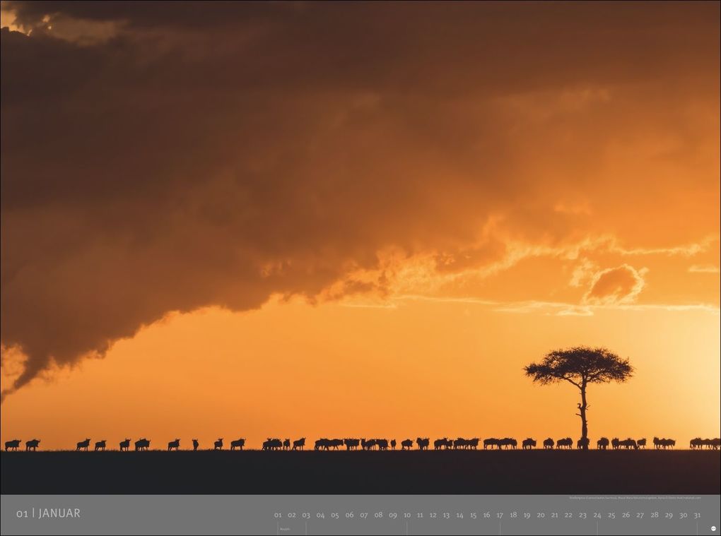 Weitere Ansicht: Afrika - Edition Alexander von Humboldt Kalender 2027