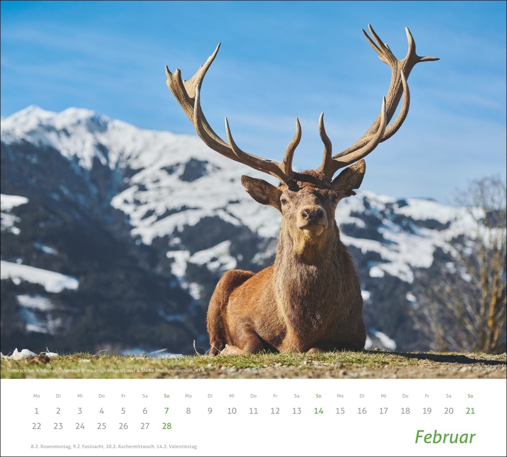Weitere Ansicht: times&more Alpen Bildkalender 2027