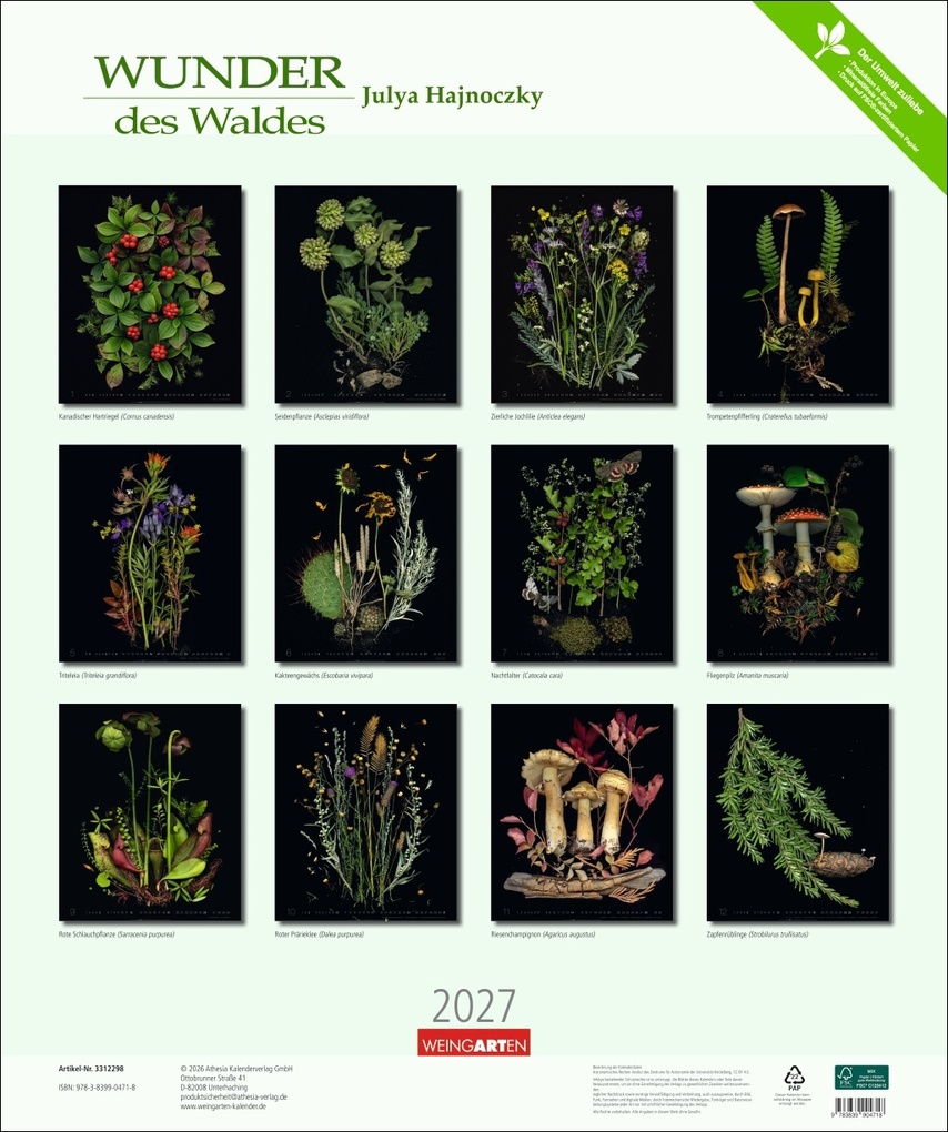 Weitere Ansicht: Wunder des Waldes 2027 | Julya Hagjnoczky