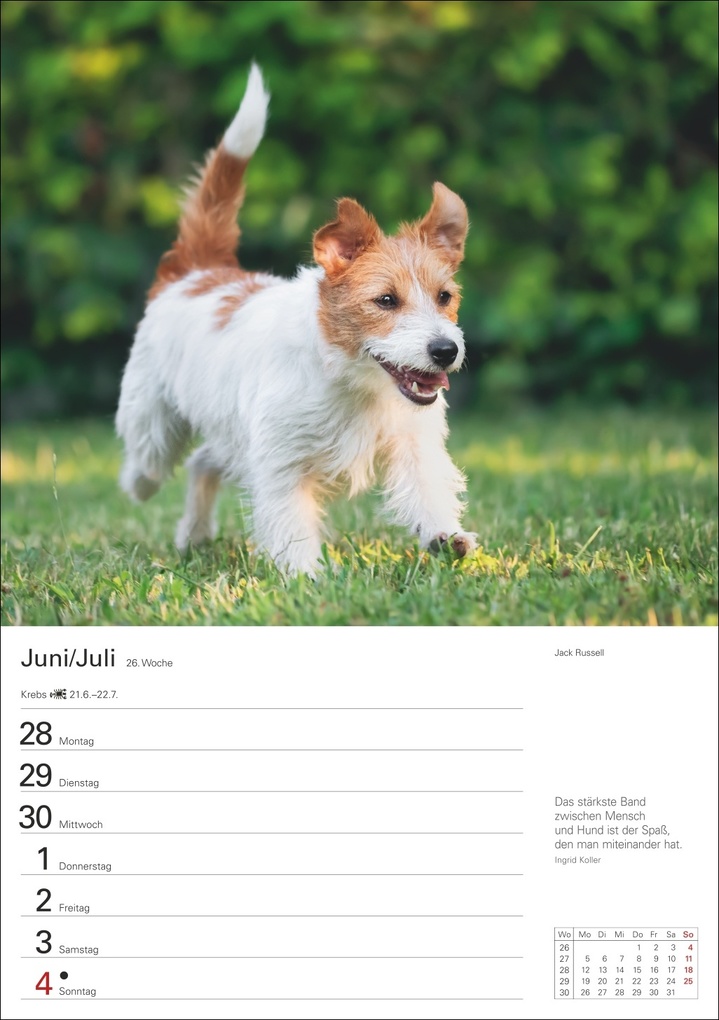 Weitere Ansicht: Hunde Wochenplaner 2027 - 53 faszinierende Fotografien