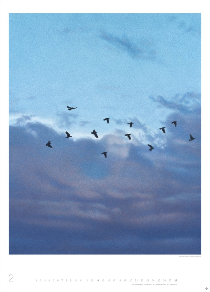 Weitere Ansicht: Quint Buchholz: Augenblicke Kalender 2027 | Quint Buchholz
