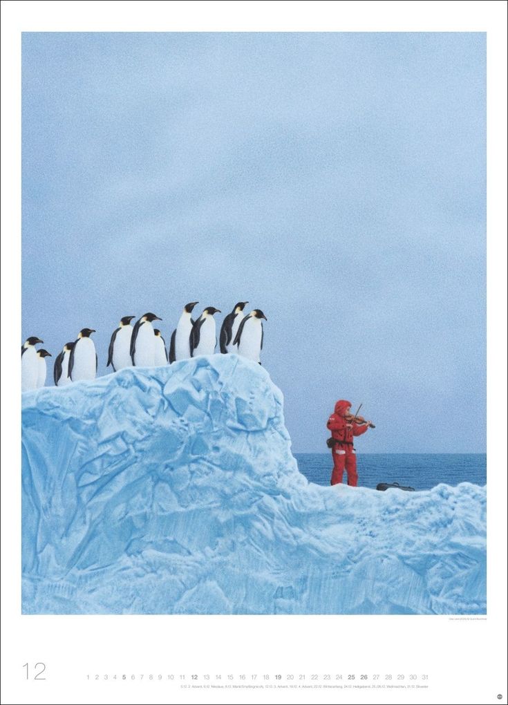 Weitere Ansicht: Quint Buchholz: Augenblicke Kalender 2027 | Quint Buchholz