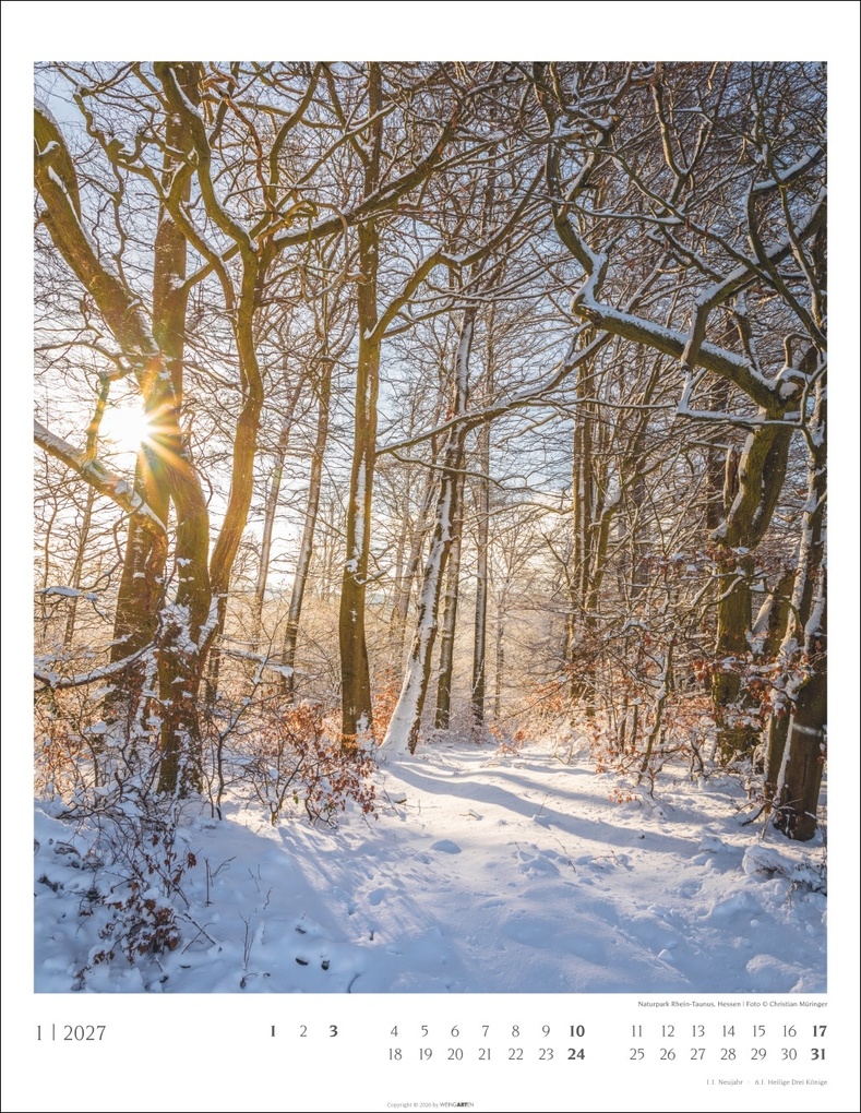 Weitere Ansicht: Heimische Wälder Kalender 2027