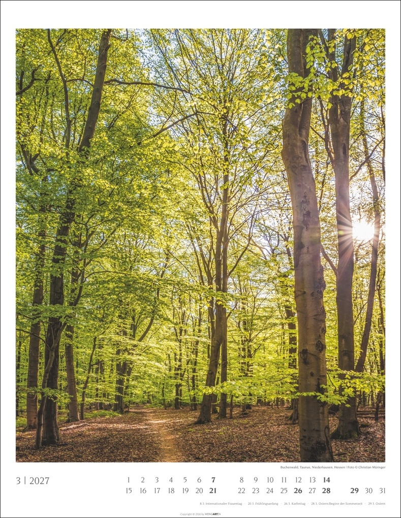 Weitere Ansicht: Heimische Wälder Kalender 2027