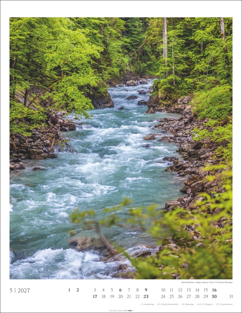 Weitere Ansicht: Heimische Wälder Kalender 2027