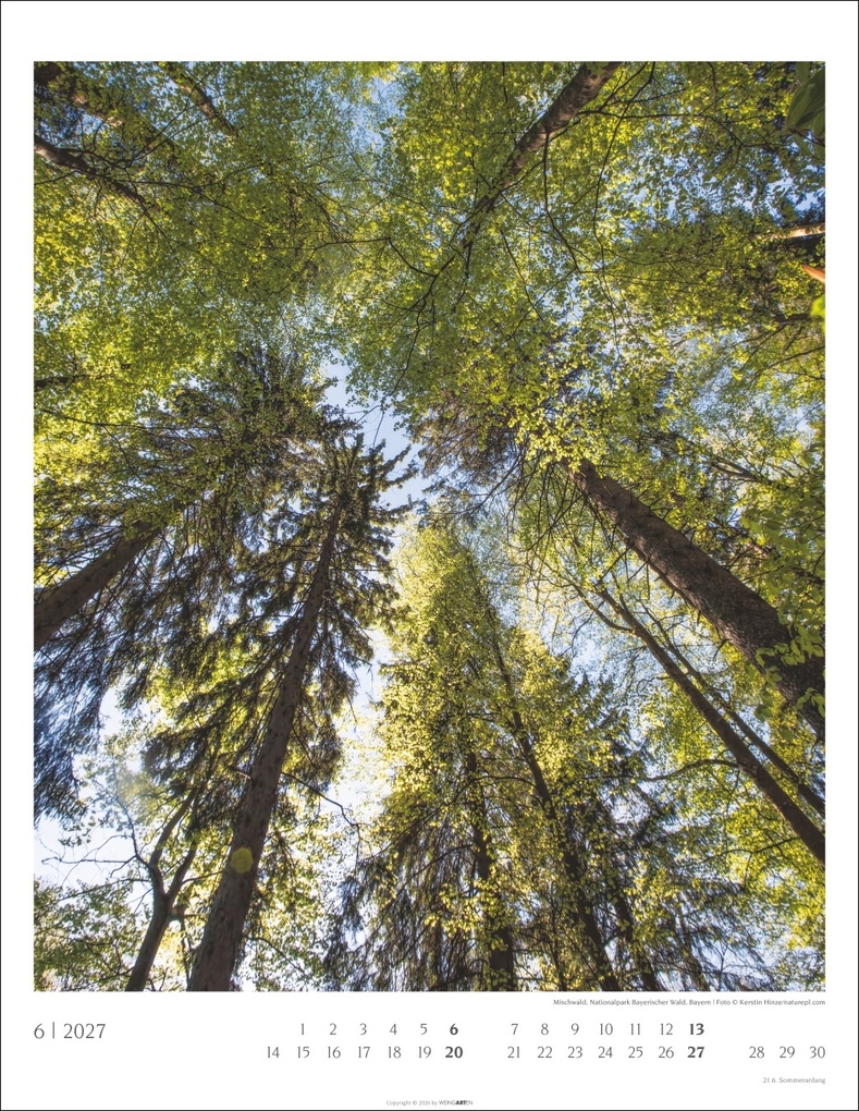 Weitere Ansicht: Heimische Wälder Kalender 2027