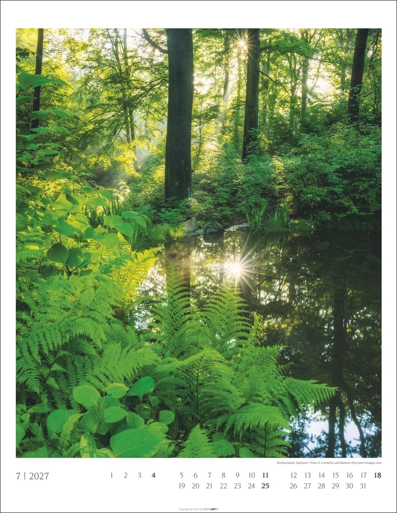 Weitere Ansicht: Heimische Wälder Kalender 2027