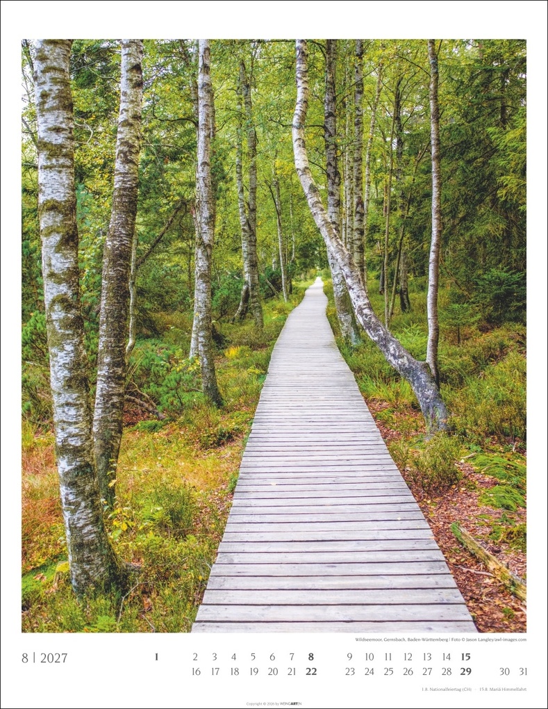 Weitere Ansicht: Heimische Wälder Kalender 2027