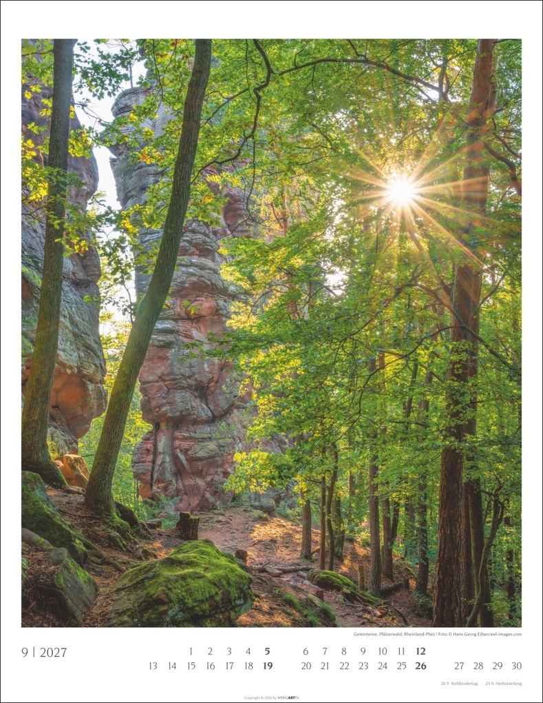 Weitere Ansicht: Heimische Wälder Kalender 2027