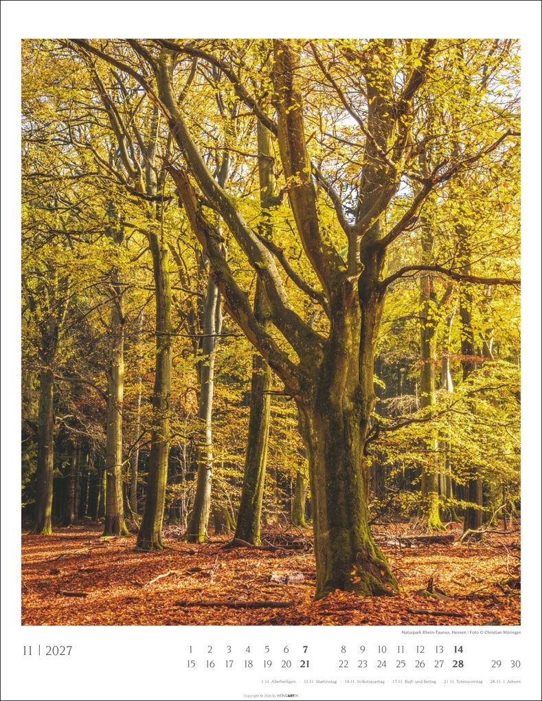Weitere Ansicht: Heimische Wälder Kalender 2027