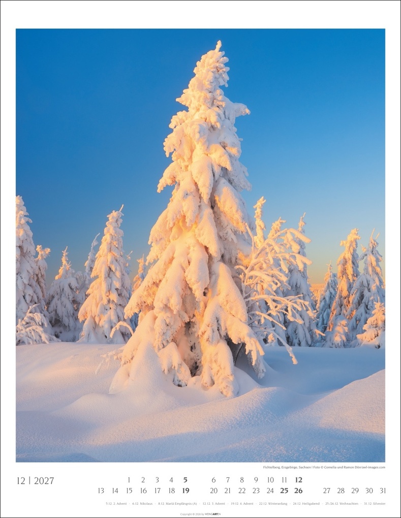 Weitere Ansicht: Heimische Wälder Kalender 2027