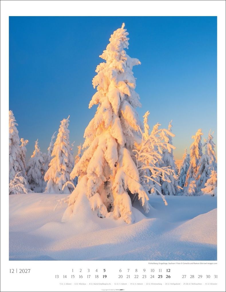 Weitere Ansicht: Heimische Wälder Kalender 2027