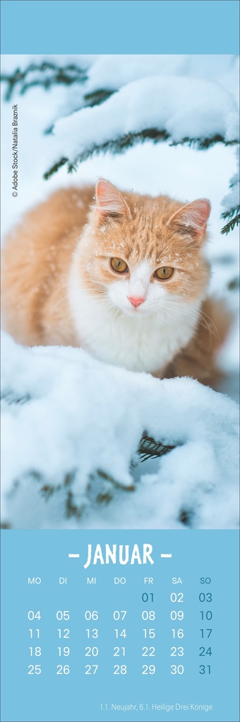 Weitere Ansicht: Katzen Lesezeichen & Kalender 2027