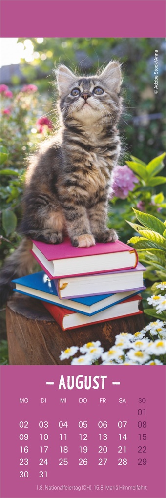 Weitere Ansicht: Katzen Lesezeichen & Kalender 2027