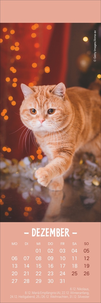 Weitere Ansicht: Katzen Lesezeichen & Kalender 2027