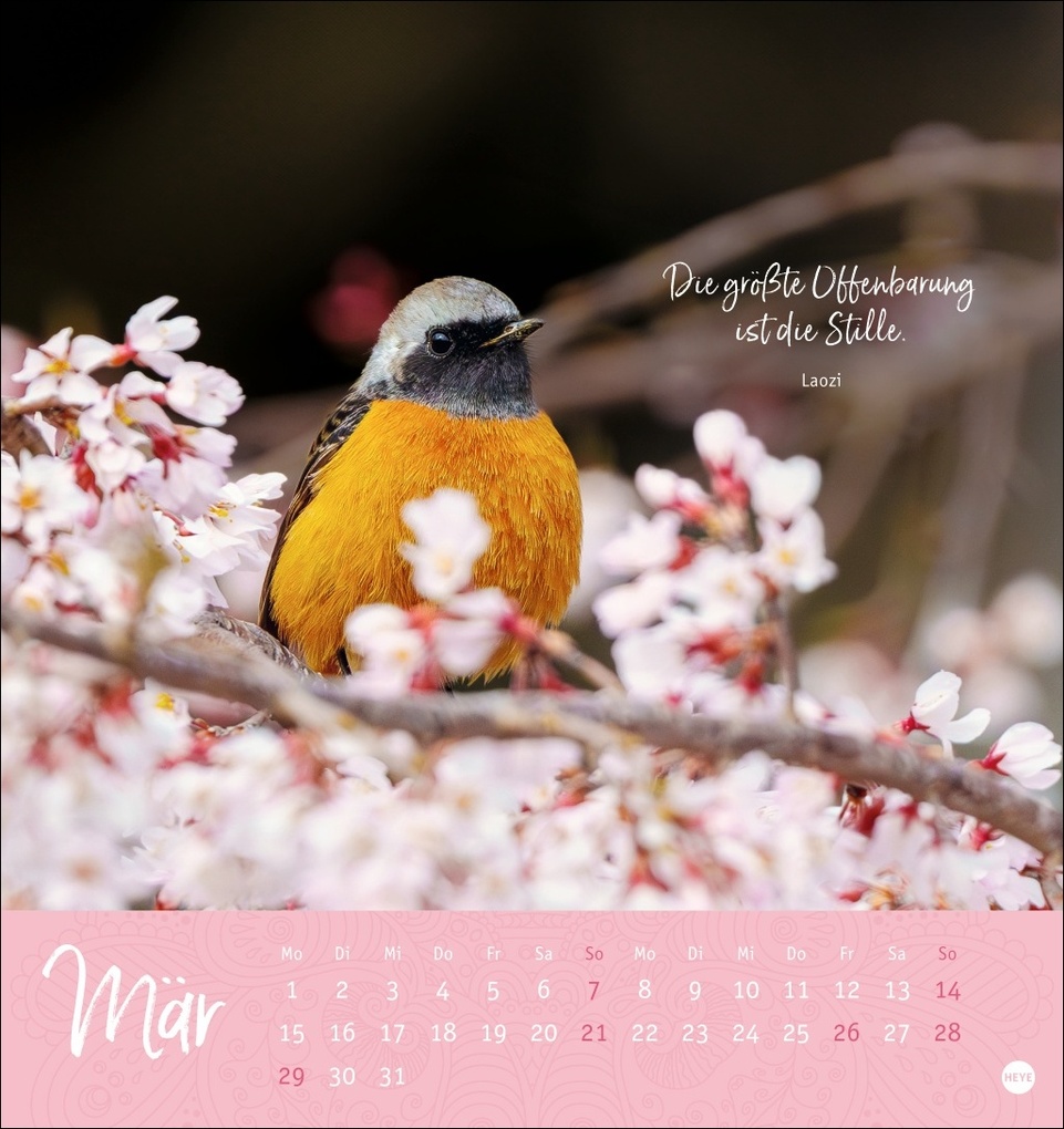 Weitere Ansicht: Stille Momente Postkartenkalender 2027