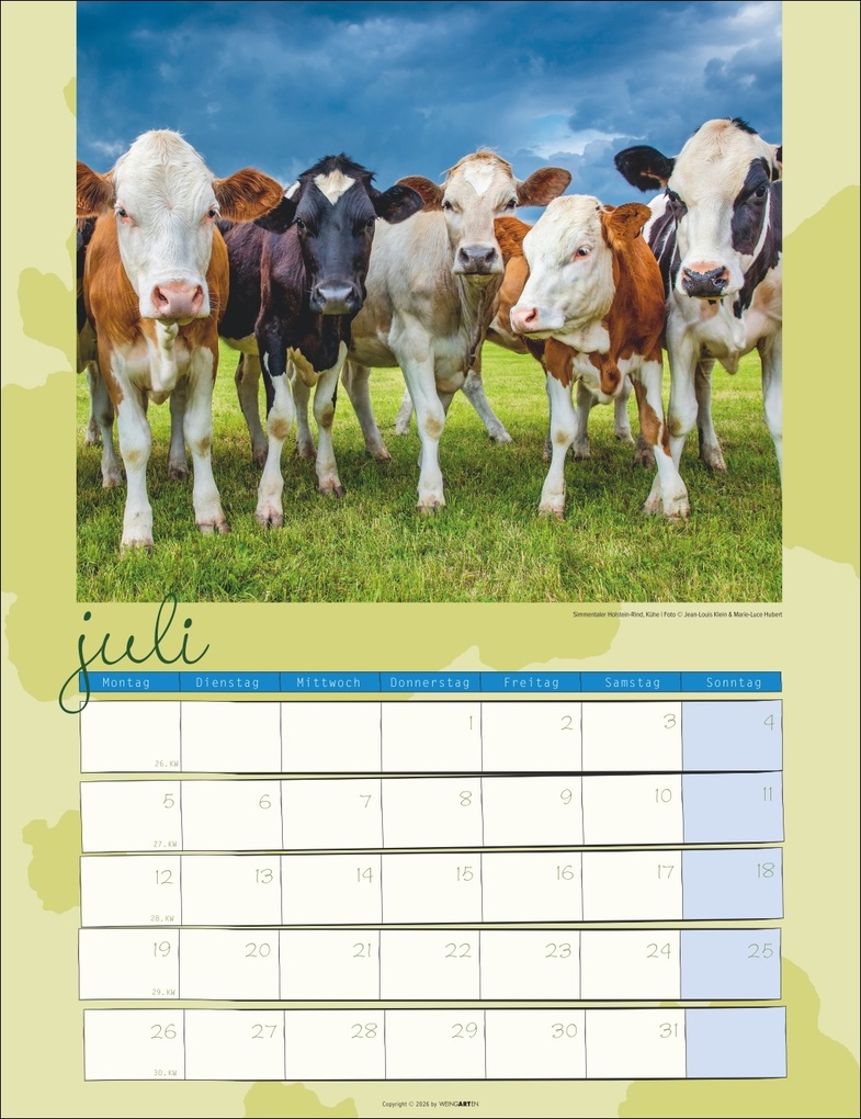 Weitere Ansicht: Kuh Kalender 2027