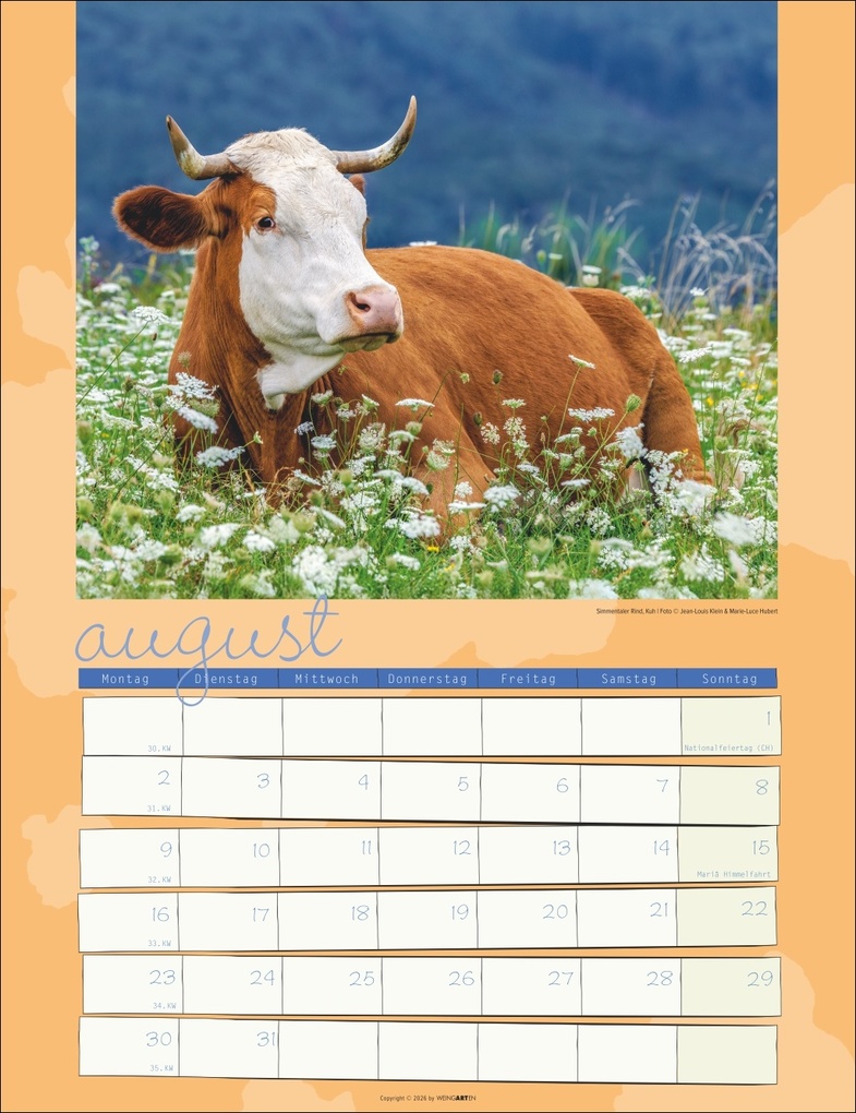 Weitere Ansicht: Kuh Kalender 2027