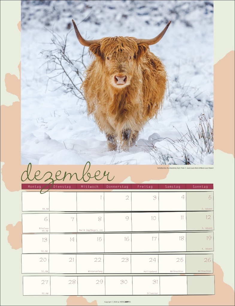 Weitere Ansicht: Kuh Kalender 2027