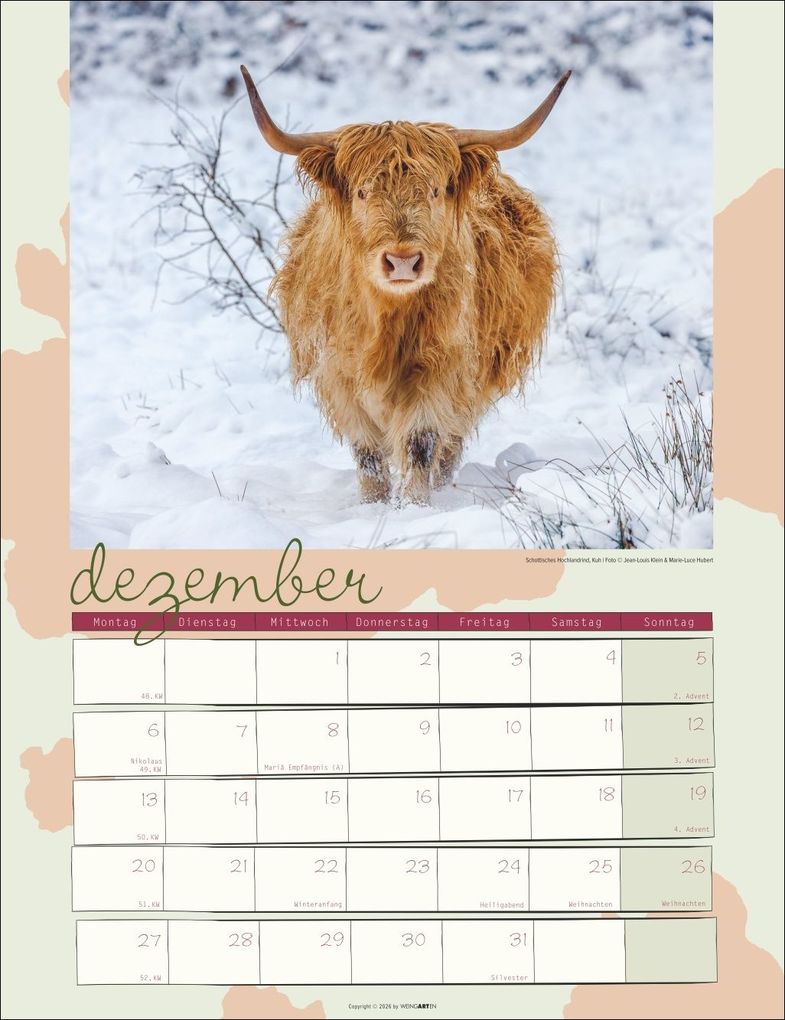 Weitere Ansicht: Kuh Kalender 2027