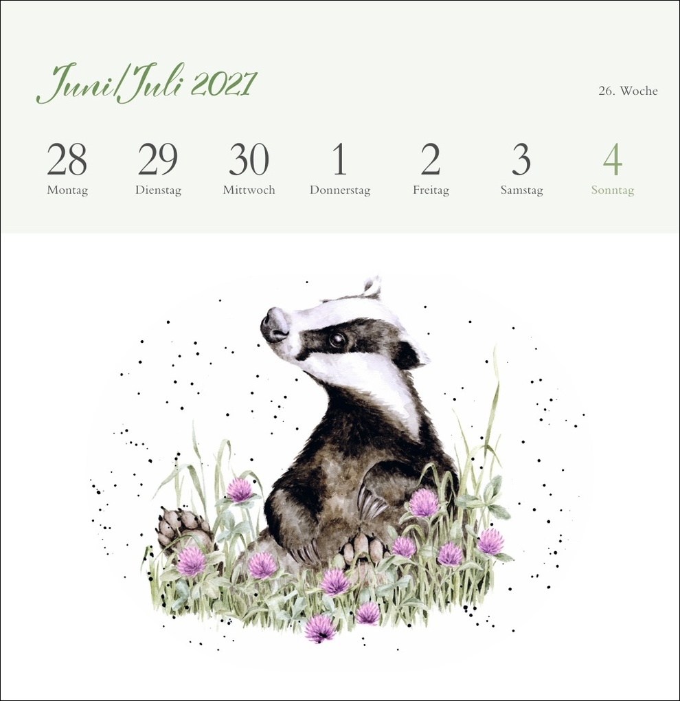 Weitere Ansicht: Hannah Dale: Happy Animals Premium-Postkartenkalender 2027 | Hannah Dale
